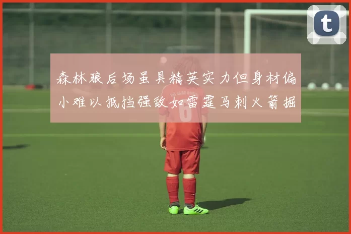 森林狼后场虽具精英实力但身材偏小难以抵挡强敌如雷霆马刺火箭掘金