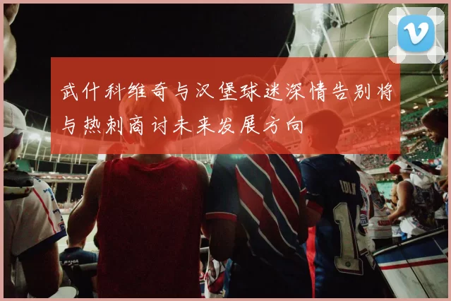 武什科维奇与汉堡球迷深情告别将与热刺商讨未来发展方向